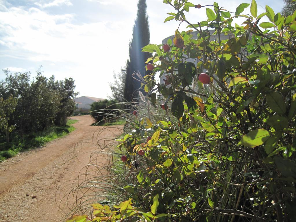 Farm stay Quinta Das Seis Marias Lagos