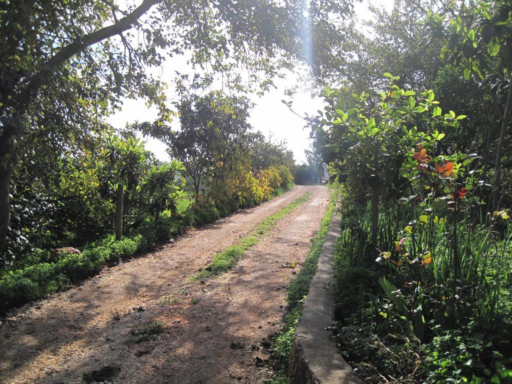 Quinta Das Seis Marias Lagos