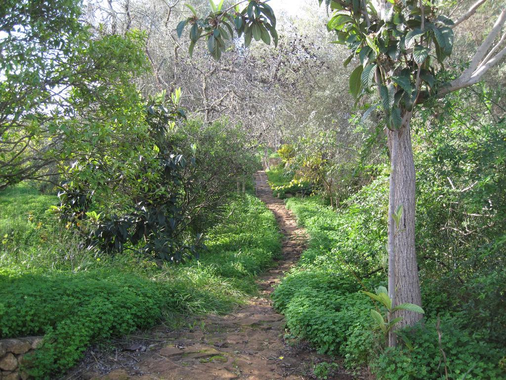 Farm stay Quinta Das Seis Marias *
